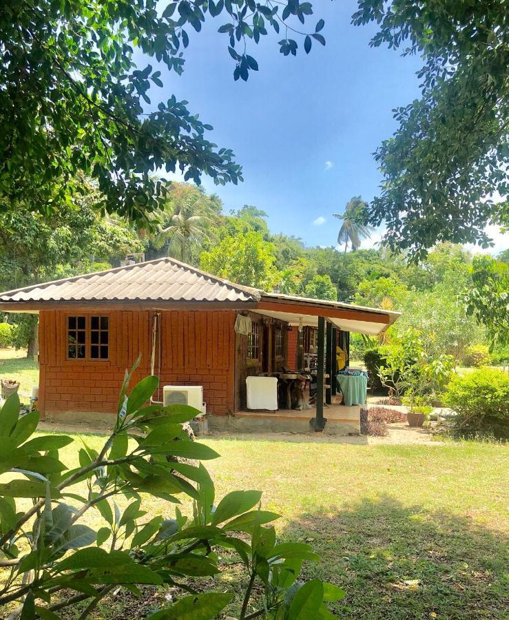 Lamai Chalet Amphoe Koksamui Exterior photo