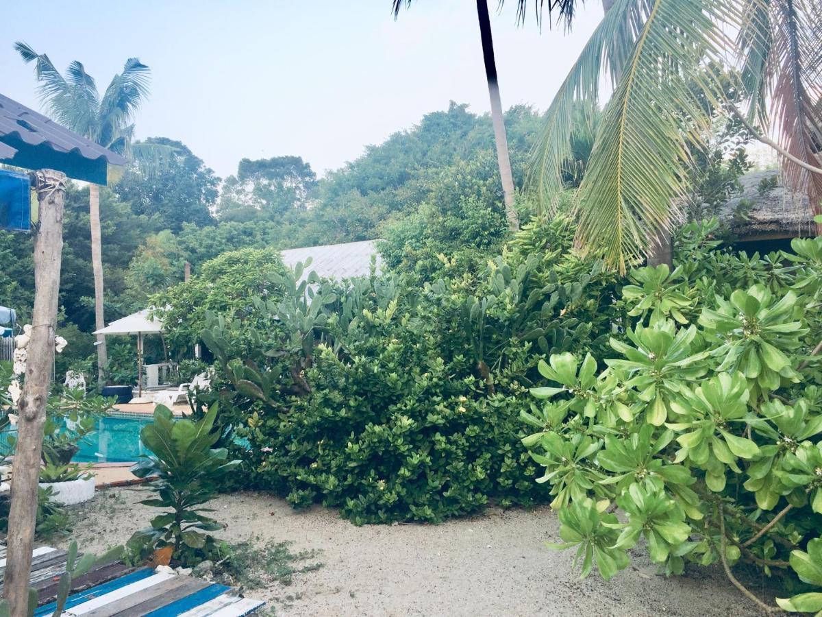 Lamai Chalet Amphoe Koksamui Exterior photo